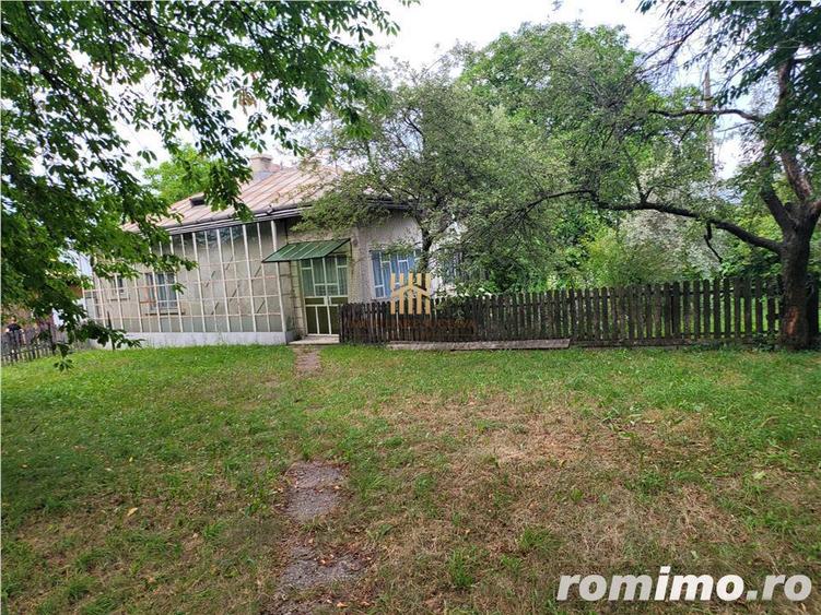 Casa Orheienilor! - 10