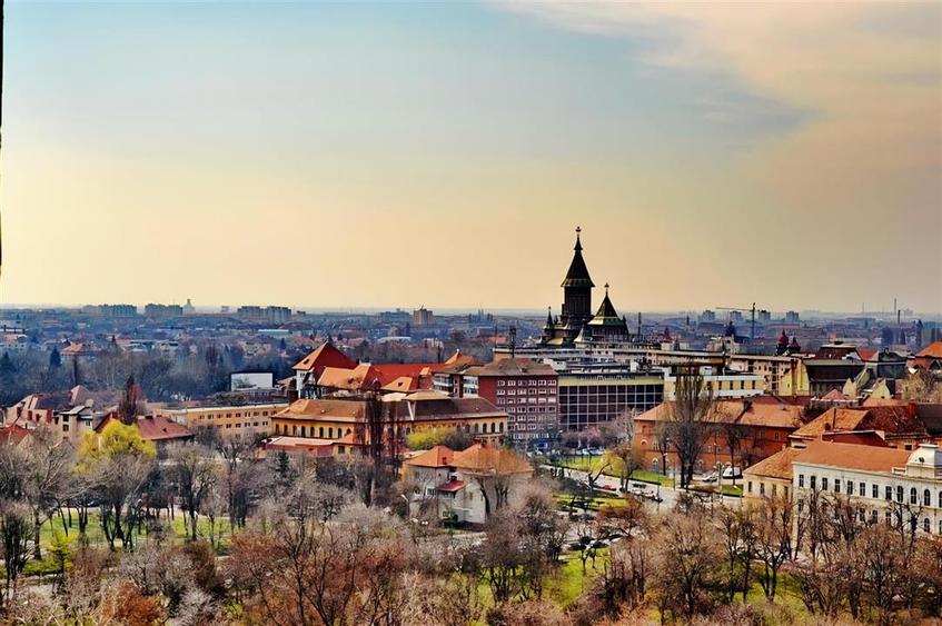 Teren constructii, Dumbravita, Vatra Veche - 1