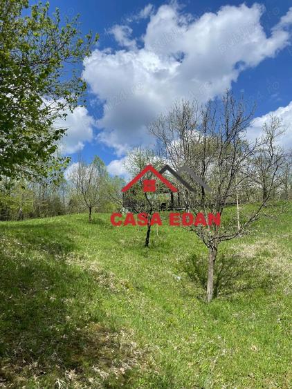 Teren extravilan in Brebu(Pietriceaua)--9104mp--50.000e - 7