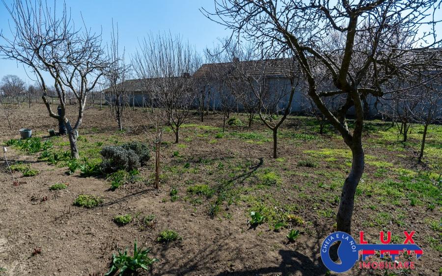 ID 6675 EXCLUSIVITATE - Teren cu casa in Sat Lunca- DELTA DUNARII - 1