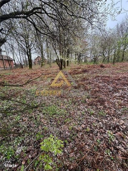 Teren intravilan in spate la Castel Transilvania 1.000mp - 2