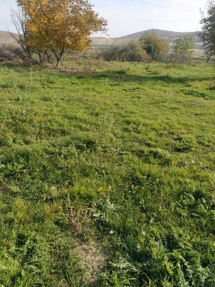 Nicolae Balcescu - Tulcea, teren cu deschidere 27 ml la drum national - 2