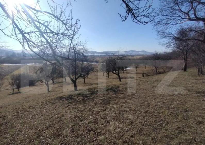 Teren extravilan de vanzare, 25 ari, zona Rusul Bargaului - 5