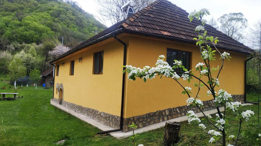 Vand casa in Hartagani - 4