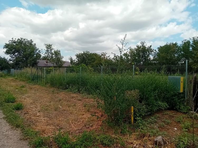 Teren intravilan 1649 m2 - 1