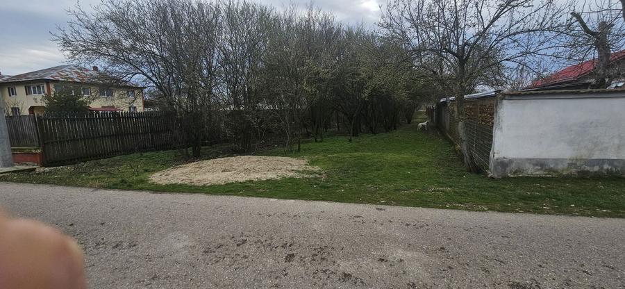 Teren intravilan ideal casa Crevedia Mica - 3