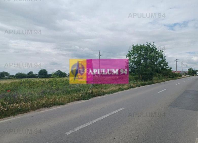 Săbăreni, teren 1900 mp, stradal, hală depozitare, productie, comert - 4