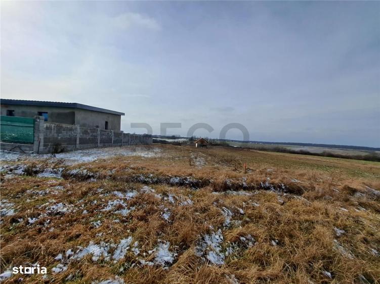 RECO teren Cordau - 3