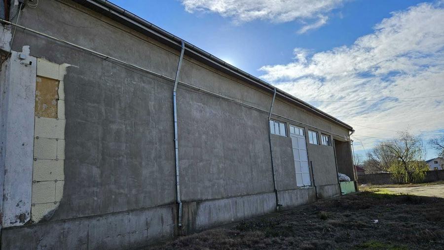 Hale Depozit Birouri de INCHIRIAT Alexandria - 7