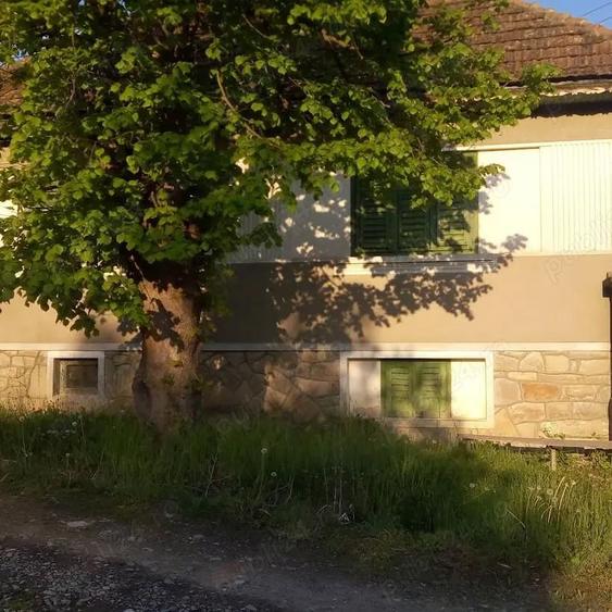 Casa in satul Colun ,cu D+P inalt ,sura mare si 1100mp teren - 5