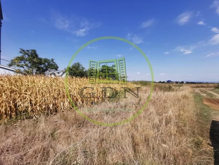 Teren intravilan de vanzare in Osorhei, 5.840 mp, cu front 3 fronturi stradale. - 4