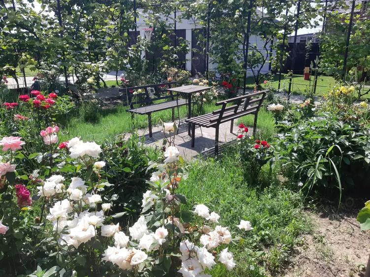 Casa de vanzare p+m - 1