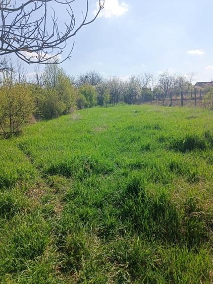 Casă de vânzare în Pauliș – teren 1972 m² - 2