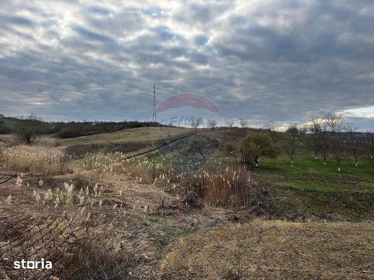 Teren cu panorama superba in Berchezoaia + bonus rulota - 5