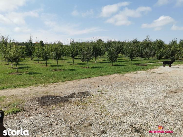 Teren intravilan de vanzare Daia, Sibiu 665 mp - 7