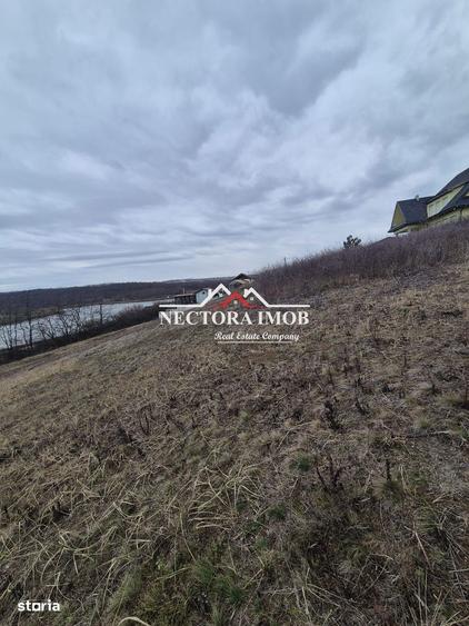 NECTORA IMOB-Teren Intravilan Zona Paleu, 589 mp, Vedere LAC,Utilitati - 3