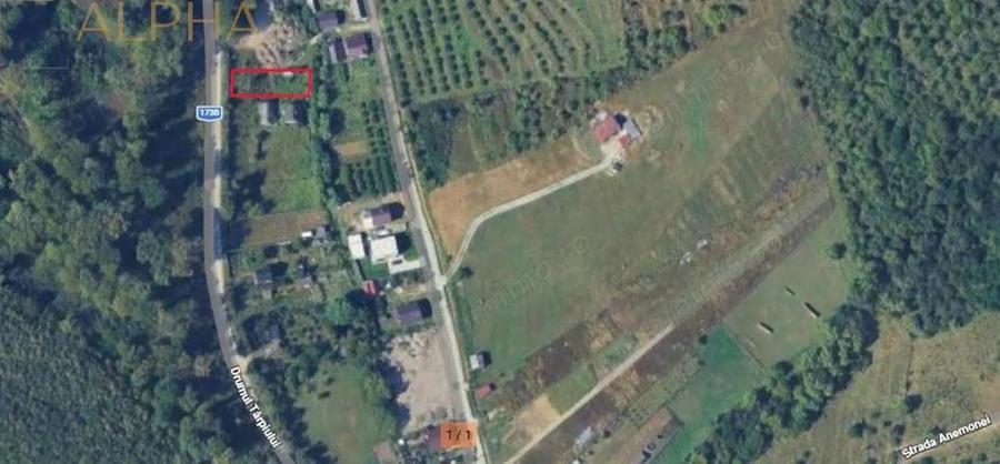 Teren extravilan de vanzare 774 mp, acces direct din asfalt Drumul Tarpiului - 1