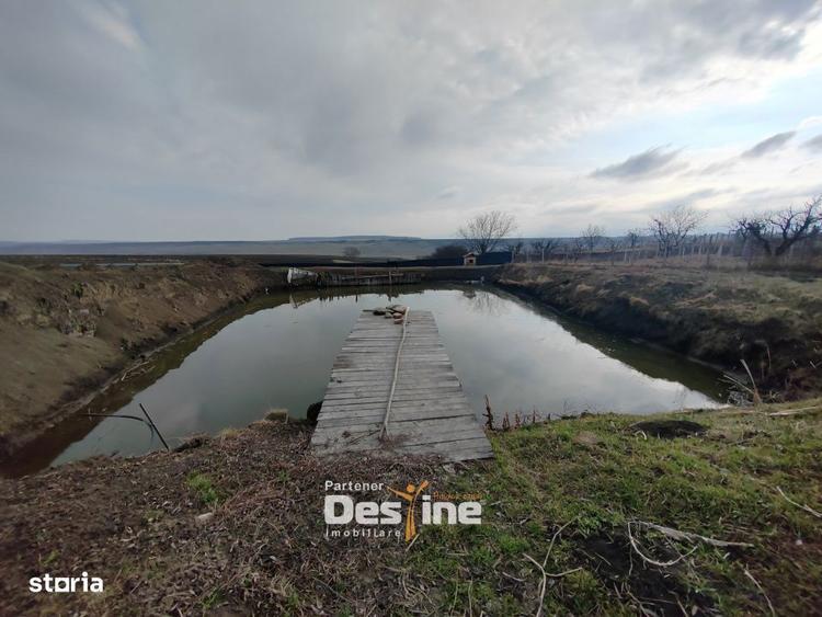 COMISION 0% - Teren intravilan cu 2 iazuri populate 2225 mp Mogose - 1