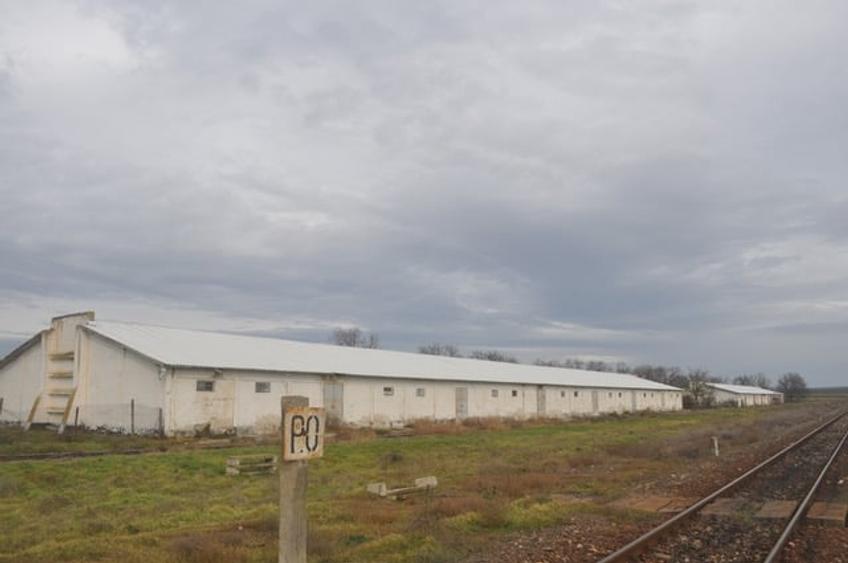 DEPOZIT CEREALE - CEAMURLIA DE JOS/STATIA CFR TVA INCLUS - 5