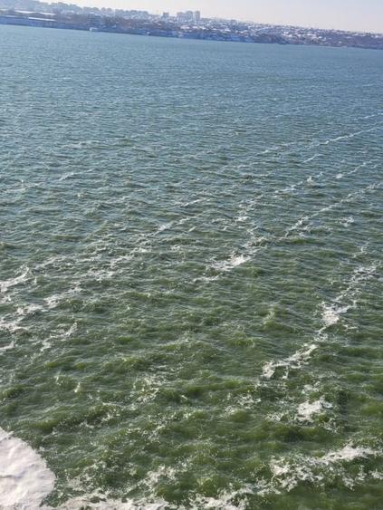 Solid House Residence - 3 camere cu 2 bai - vedere superba lac si mare - 22