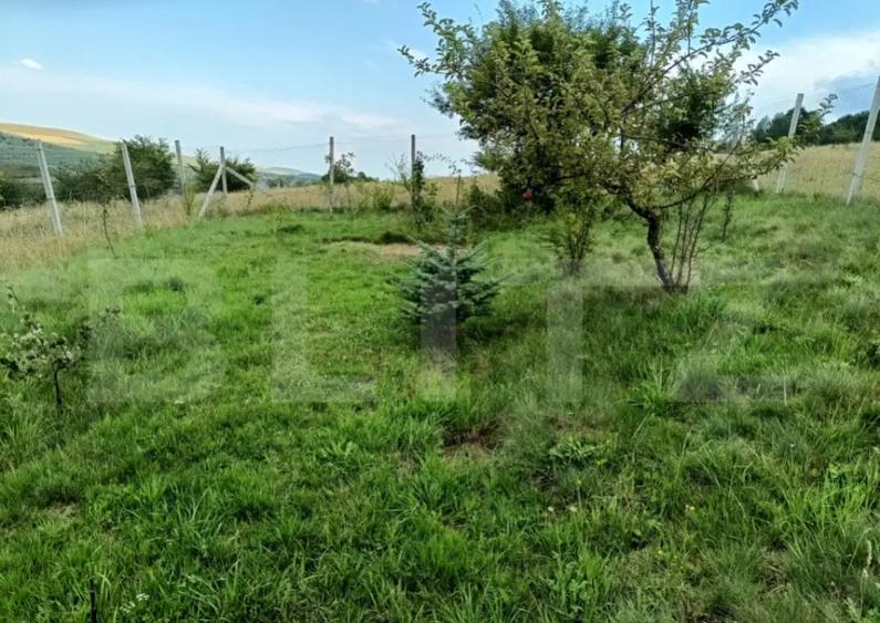 De vanzare teren extravilan, 1000 mp - Valcele - 2