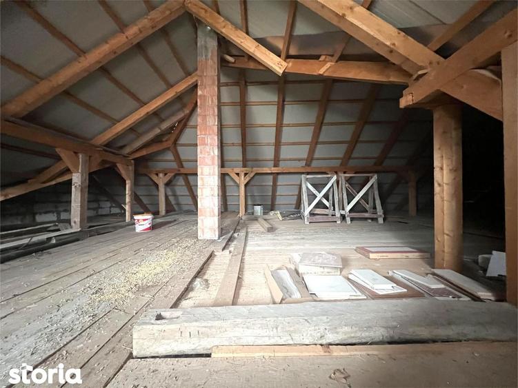 Casa cu 3 camere, renovata integral | Teren 4.748 mp | Borlesti - 1