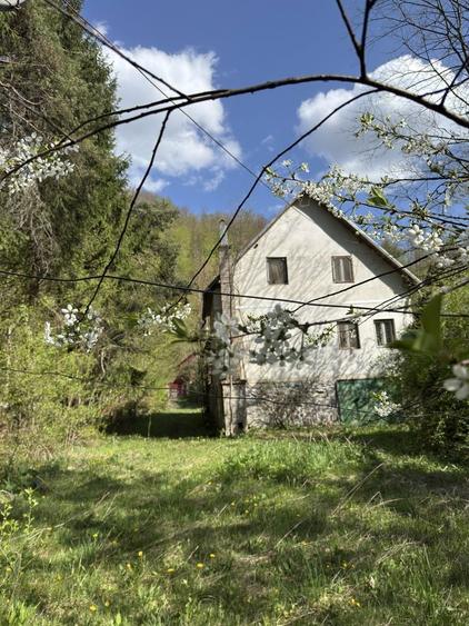 Casa de vanzare la Boga - 1