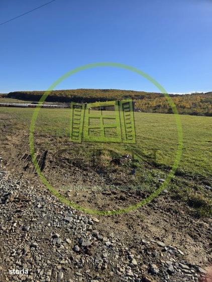 Teren intravilan-1400 mp- Tocile, Sadu - 3