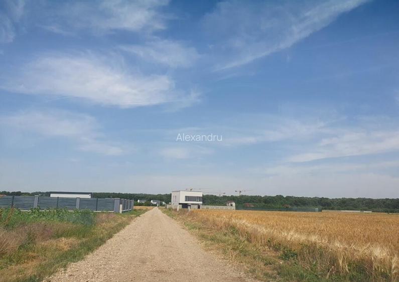 Teren acces strada amenajata langa padure, 650 mp
