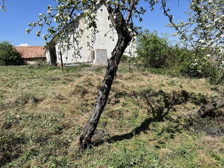 Casa de vanzare! Propietate ideala! - 5