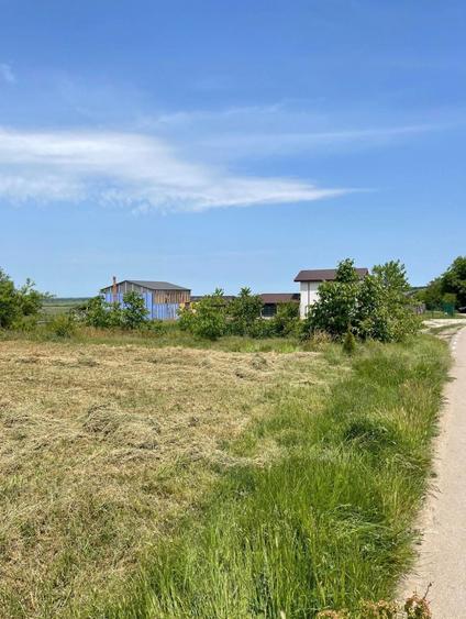 Teren de vanzare - 4