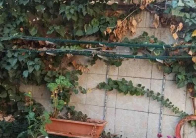 Casa individuala + curte proprie P+M, zona Panduri/Drumul Sa - 3