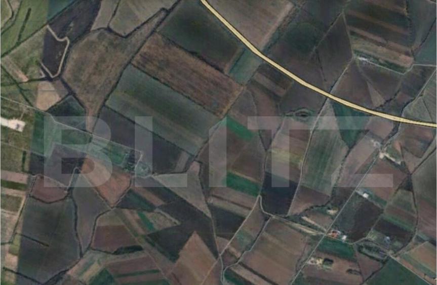 Teren intravilan - 11.600 mp, Remeta-Mare - 1