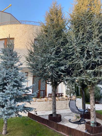 Clinica Medicala/ Policlinica - Centru Educational - 7