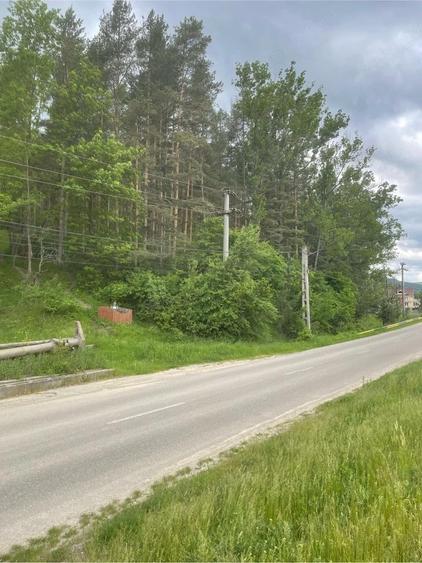 Vand teren cu vegetatie forestiera Manzalesti Grunj - 2
