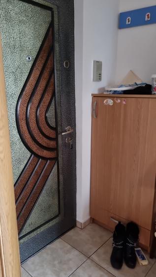 Berceni, Luica, stradal - 5