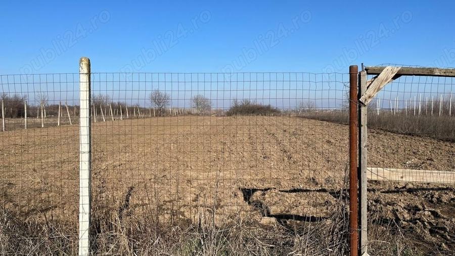 Teren intravilan Dărăști Vlasca 4700mp, intre case, toate utilitatile - 4