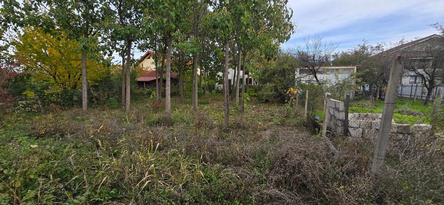 Teren  715  mp  intravilan Petresti - 7