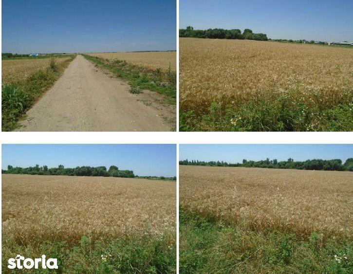 Teren extravilan cota parte 1/6 Domnesti ; ID: R2928832 - 6