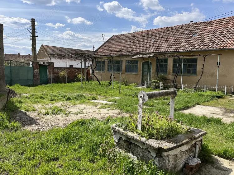 Teren Intravilan, Casa + Gradina, 2000 mp - Cheresig, Comuna Toboliu - 8