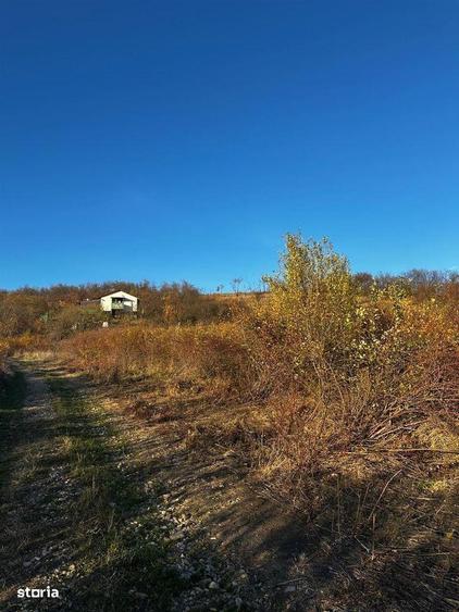Teren intravilan de colt langa Hanul Pescarilor - 1
