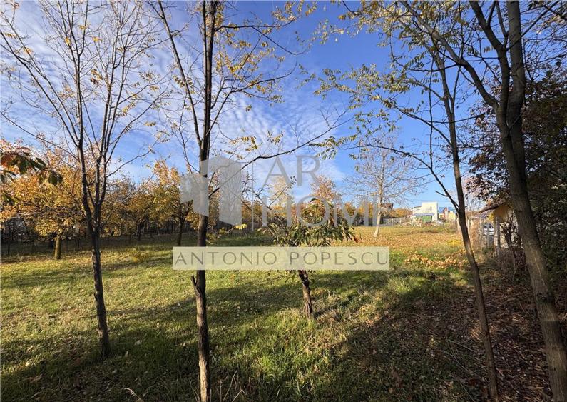 Teren intravilan, in Paulesti, Prahova - 6