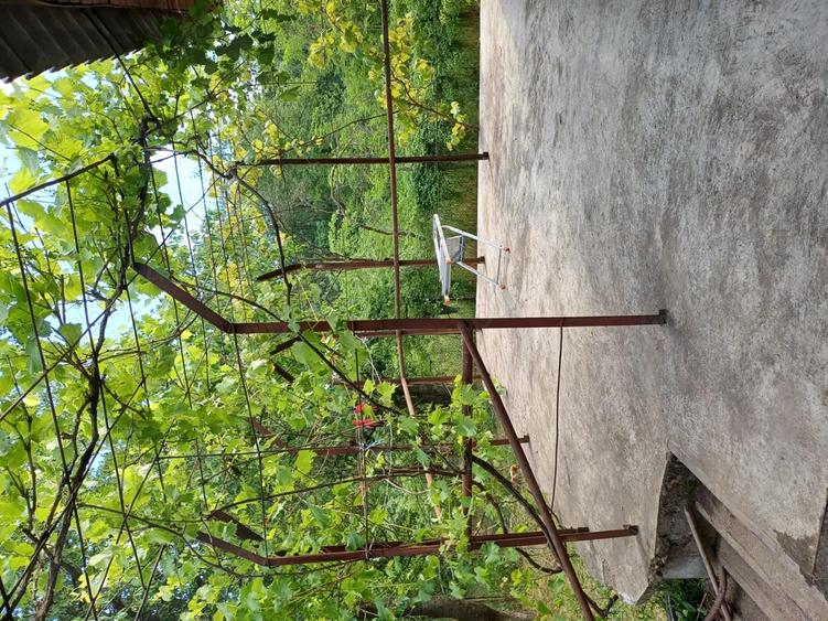 Vand casa Vrancea - 3