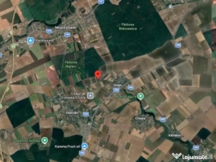 Teren de vanzare in Ilfov, Gagu, deschidere 74ml, 20762mp, 124.572euro - 1