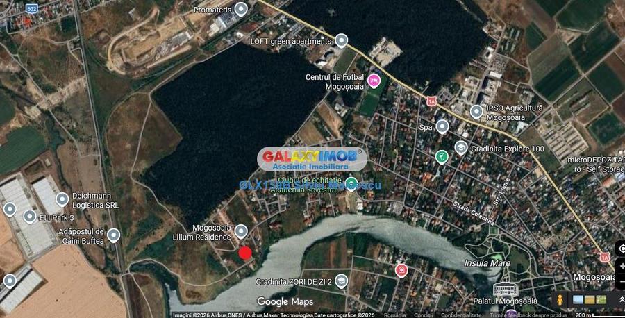 Mogosoaia 1.000 Mp str. Crinului - 1