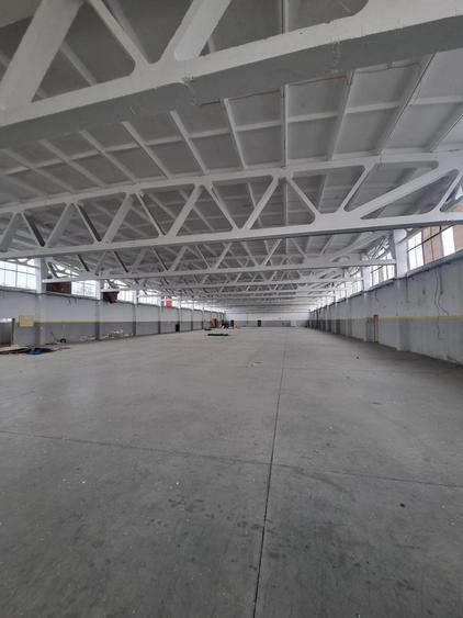 Propietate Industriala in spate la Dedeman - Str. Pades - 6