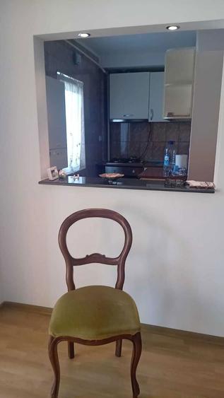Garsoniera de inchiriat in aproprierea insulei de agrement - 2