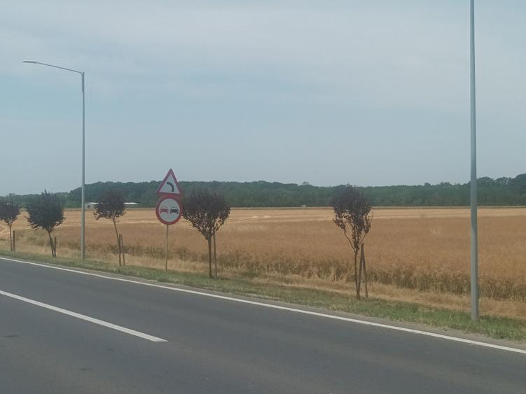 Teren Vanzare Intravilan Branesti - Investitie Zona Industriala Vis a Vis Makita - 22