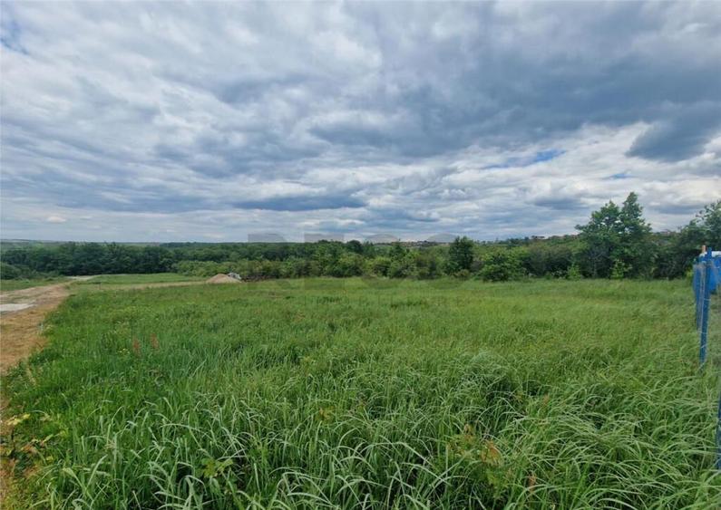 RECO teren intravilan Saldabagiu de Munte - 2