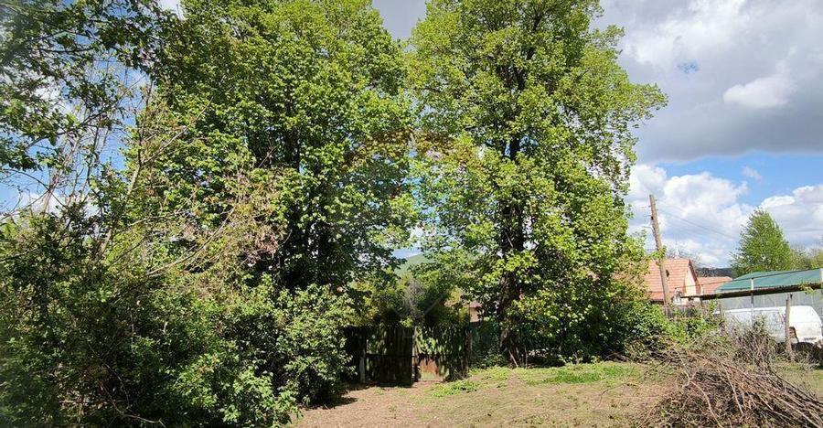 Teren intravilan 3.269 mp in Slimnicpanorama superba... - 14